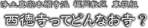 ○○寺ってどんなお寺？