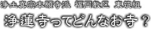 ○○寺ってどんなお寺？