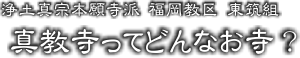 ○○寺ってどんなお寺？