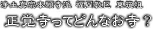 ○○寺ってどんなお寺？